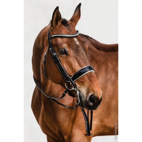 Schockemöhle Double Bridle Venice