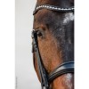 Schockemöhle Double Bridle Milton