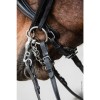 Schockemöhle Double Bridle Milton