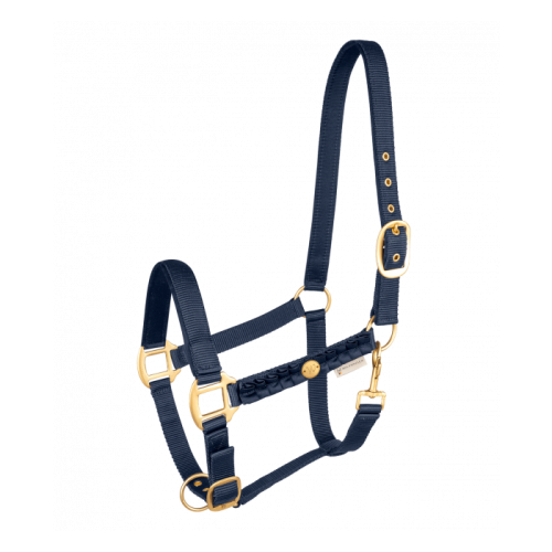 Waldhausen SS'23 Halter Florenz