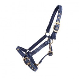 QHP Foal Halter Lily