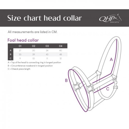 Коллекция ошейников для жеребят QHP SS'23
