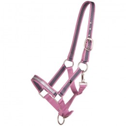 QHP SS'23 Head Collar Foal Collection