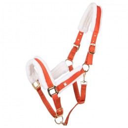 QHP Halter Menton