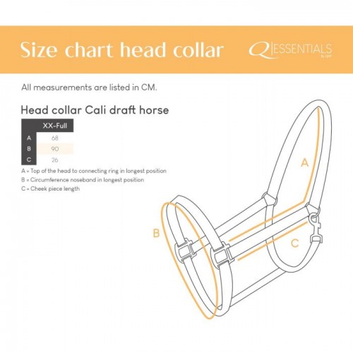 Q-essentials head collar Cali draft horse