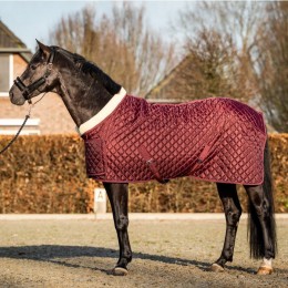 HB Showtime Show Rug Desir Burgundy