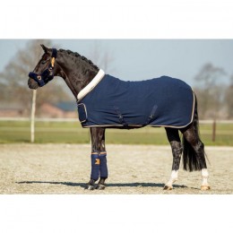 HB Showtime Blue Moon Show Rug