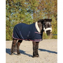 HB Showtime Harry and Hector Dutch Crown Showrug little sizes