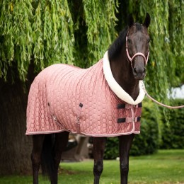 HB Showtime Show Rug Special Velvet Peach Tropical