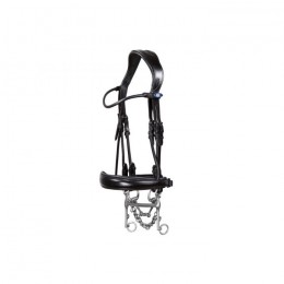 PS of Sweden Passage anatomical double bridle