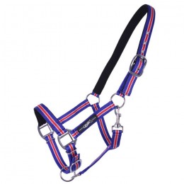 QHP Halter Icelandic