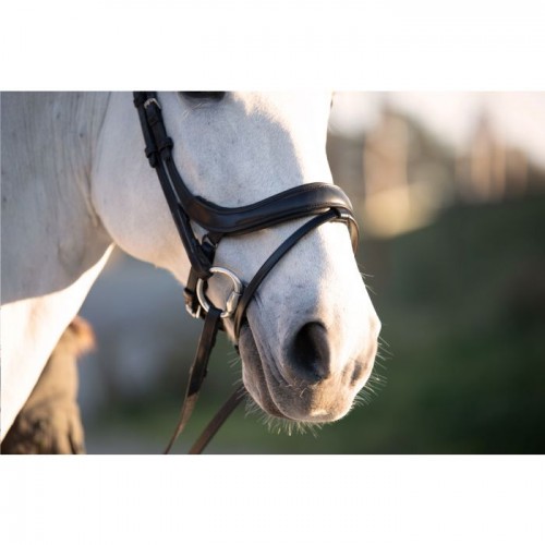 PS of Sweden Paladin anatomical bridle