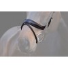 PS of Sweden Paladin anatomical bridle