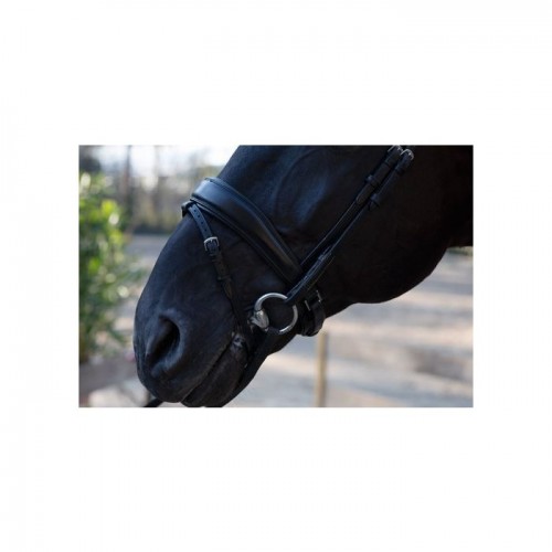 PS of Sweden Flying Change anatomical bridle