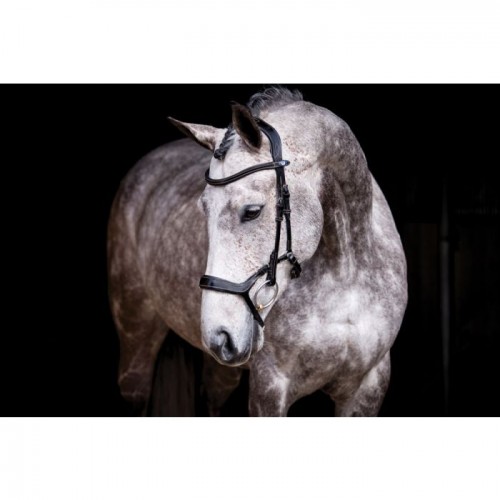PS of Sweden Pioneer anatomical bridle