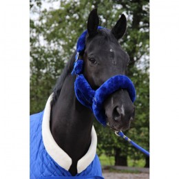 HB Showtime Royalblue Desir Fluffy Halter