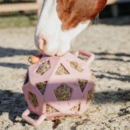 Kentucky Relax Horse Play