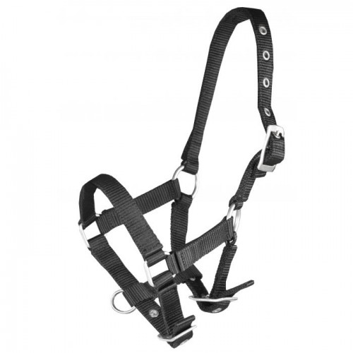 Horka Halter Basic Foal