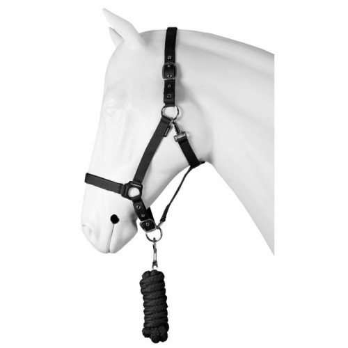 Horka Headcollar Set Dime