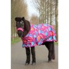 HB Harry and Hector Pony Outdoor rug Hedgehog Fleece