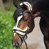 Kavalkade Bridle Ivy Lambs wool