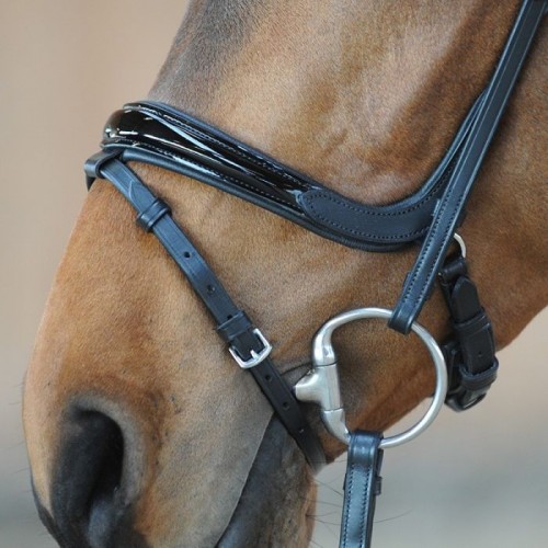 Kavalkade Patent Bridle Ivana