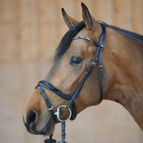 Kavalkade Patent Bridle Ivana