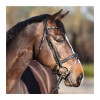 Kavalkade Bridle Ivette