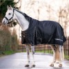Back on Track Brianna Turnout Rug