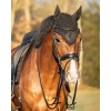 QHP Browband Hailyn