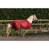 MASTER winter rug metallic red 150g