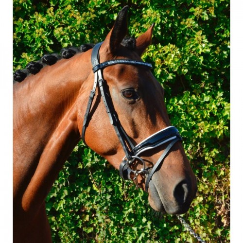 HB Showtime Bridle Saffier