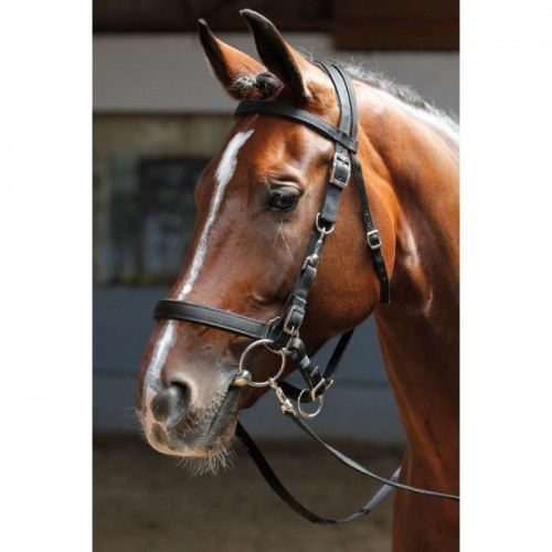 Harry's Horse Bridle/Halter