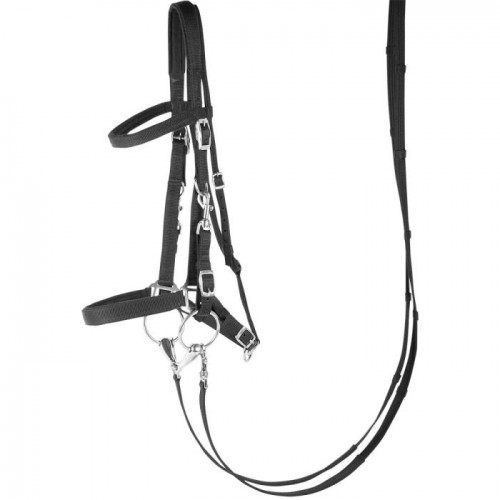 Harry's Horse Bridle/Halter