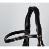 Harry's Horse Bridle Anatomic