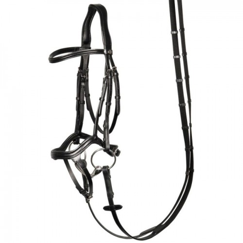 Harry's Horse Bridle Anatomic