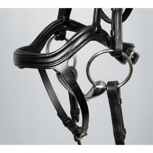 Harry's Horse Bridle Anatomic