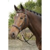 Harry's Horse Bitless bridle
