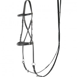 Harry's Horse Bitless bridle