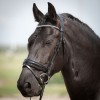 Harry's Horse Bridle Diamond Lacque