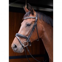 Harry's Horse Bridle Round Stitched Lacque
