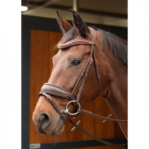 Harry's Horse Bridle Soft Bombastic