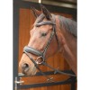 Harry's Horse Bridle Soft Bombastic