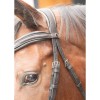 Harry's Horse Bridle Soft Bombastic