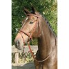 Harry's Horse Bridle Luxury, with flash noseband