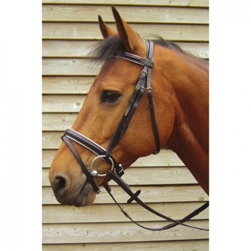 Harry's Horse Bridle Luxury, with flash noseband