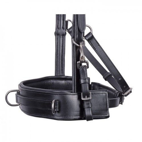 Harry's Horse Cavesson Bridle Leather Comfort