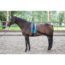 Harry's Horse elastic band for lunging