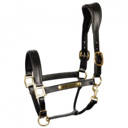 Harry's Horse Halter Leather Anatomic