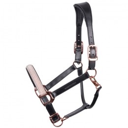 Harry's Horse Halter Leather Broadway